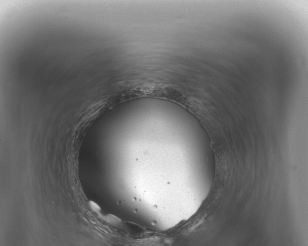 X0000054421105200508051758