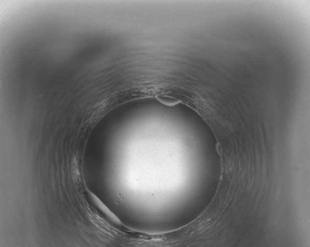 X0000054421106200508051758