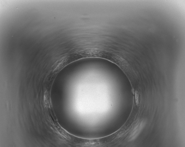 X0000054421107200508051758