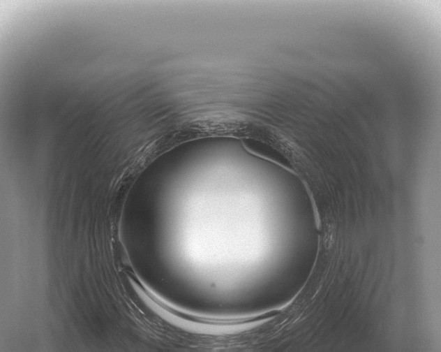 X0000054421108200508051758