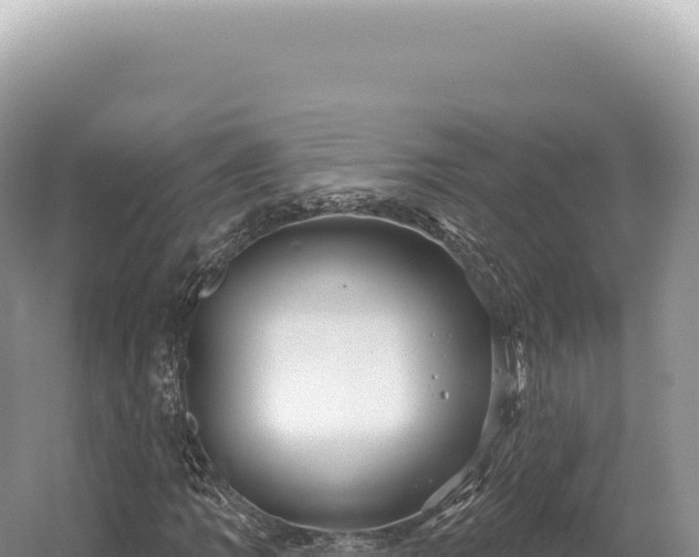 X0000054421109200508051758