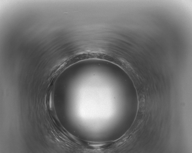 X0000054421110200508051758