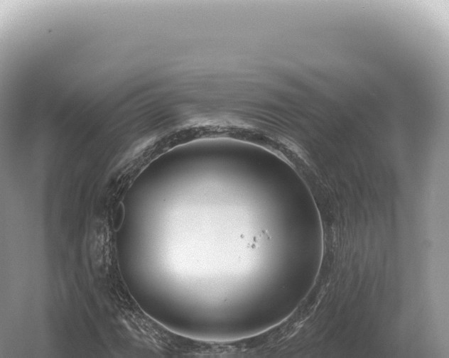 X0000054421111200508051758