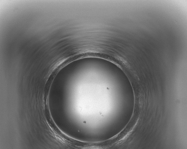 X0000054421113200508051758