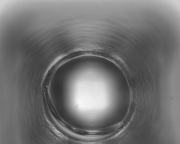 X0000054421114200508051758