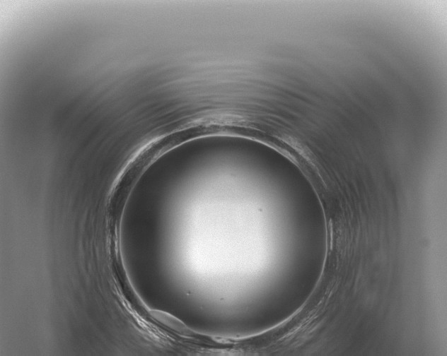 X0000054421115200508051758