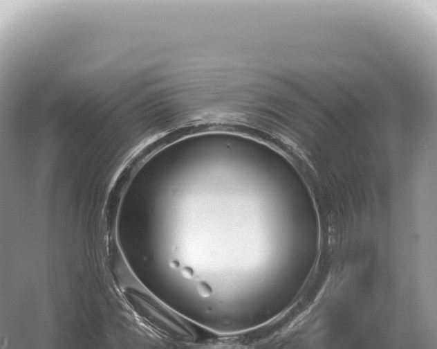 X0000054421117200508051758