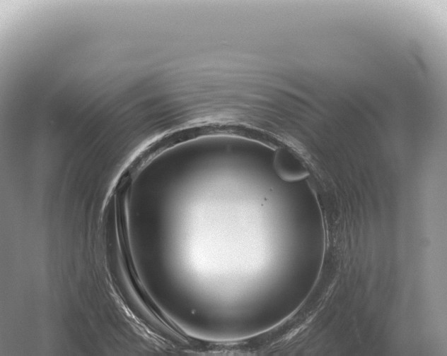 X0000054421118200508051758