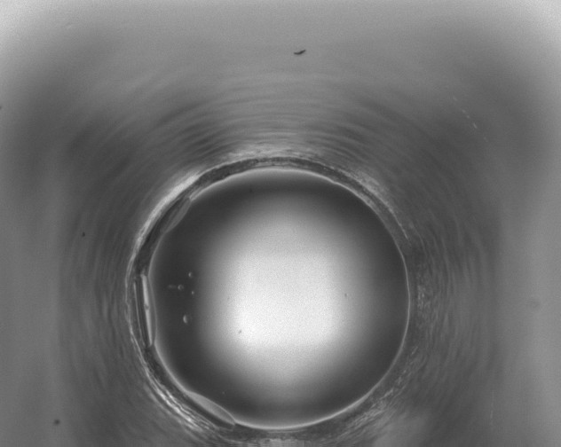 X0000054421119200508051758