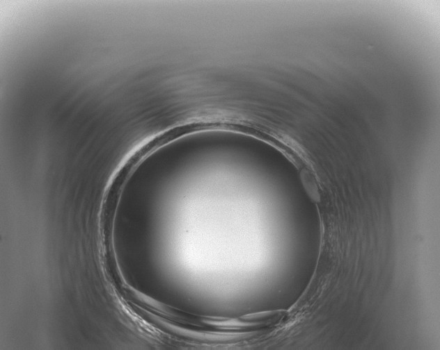 X0000054421120200508051759