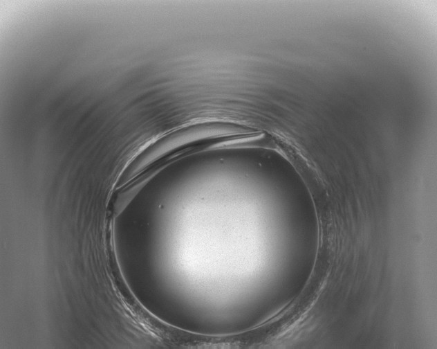 X0000054421121200508051759