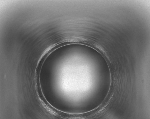 X0000054421122200508051759