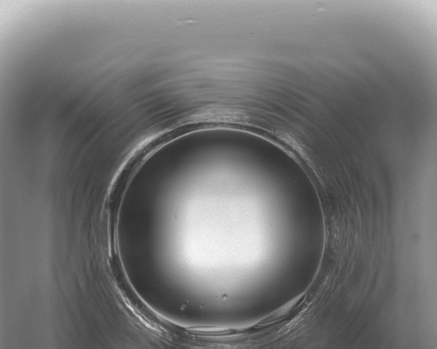 X0000054421123200508051759