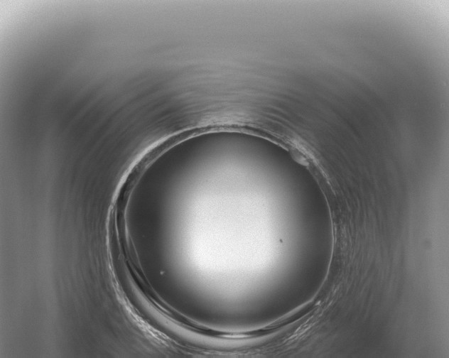 X0000054421124200508051759