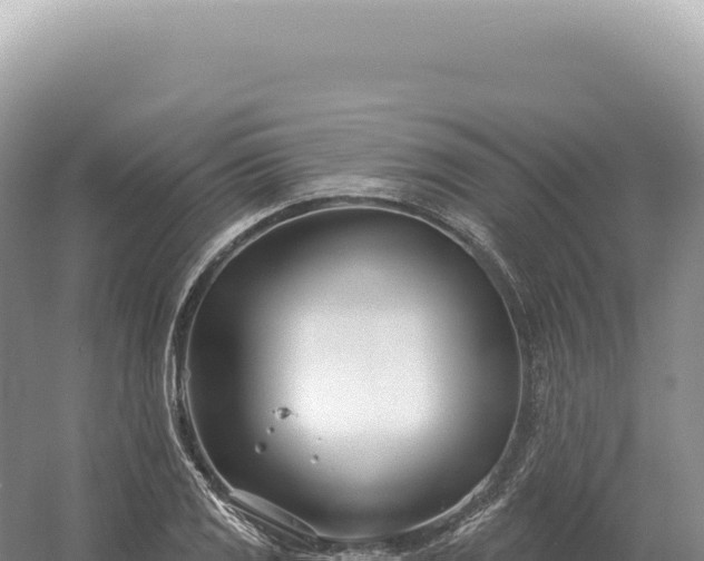 X0000054421125200508051759