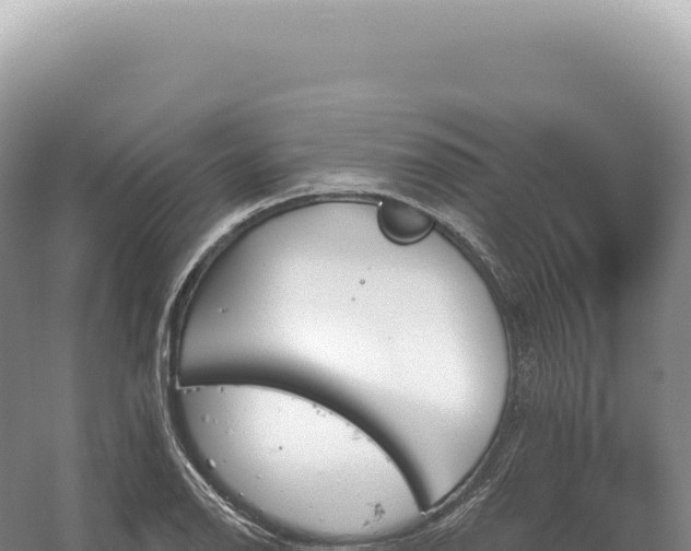 X0000054421126200508051759