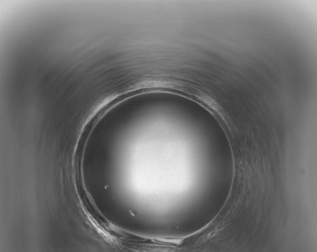 X0000054421127200508051759