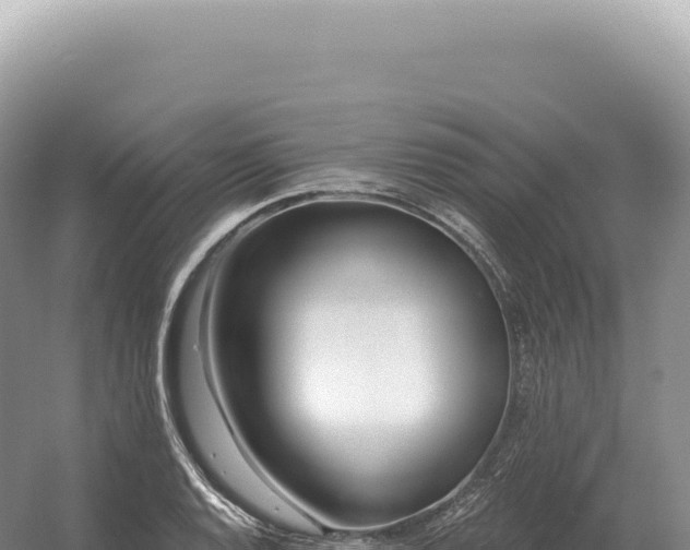 X0000054421128200508051759