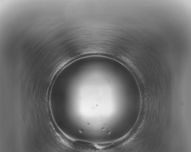 X0000054421129200508051759