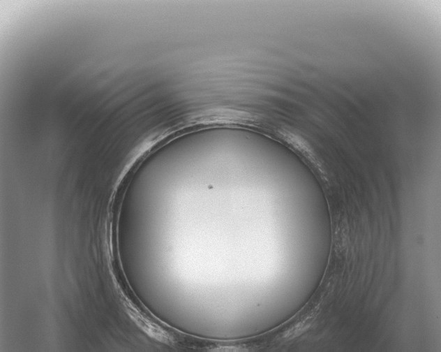 X0000054421130200508051759