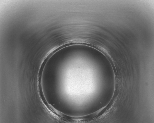 X0000054421133200508051759