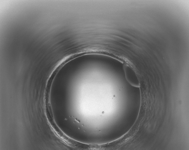 X0000054421134200508051759