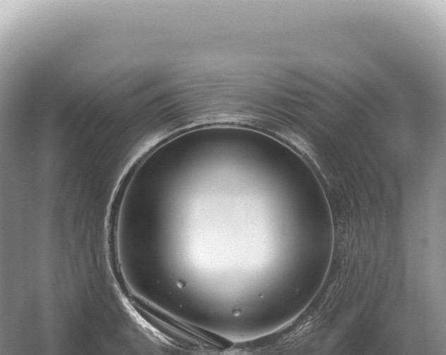 X0000054421135200508051759