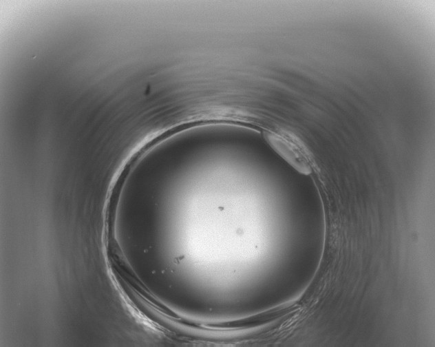 X0000054421136200508051759