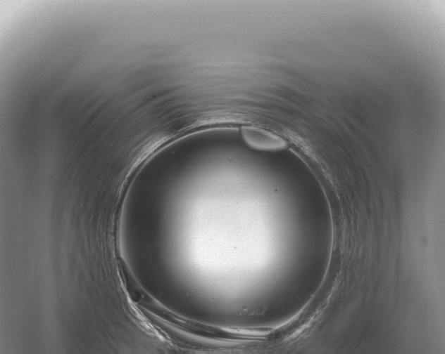 X0000054421137200508051759