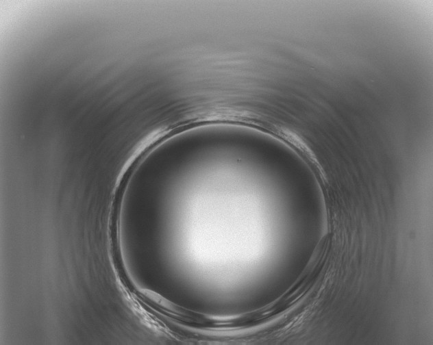 X0000054421138200508051759