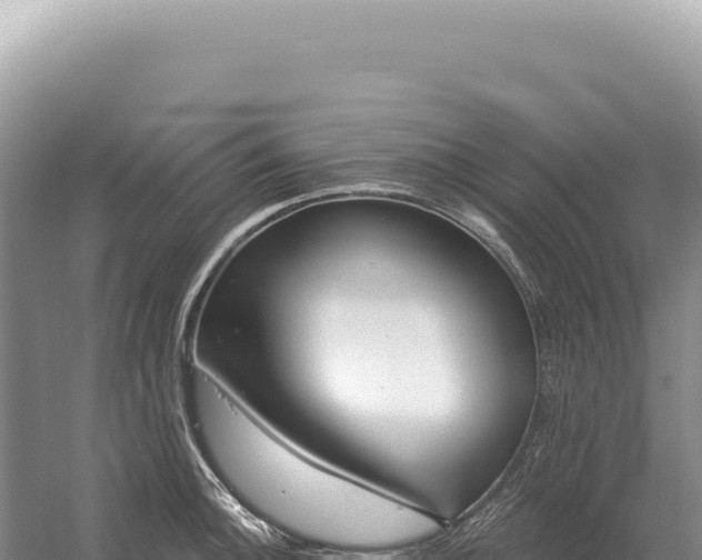 X0000054421140200508051759