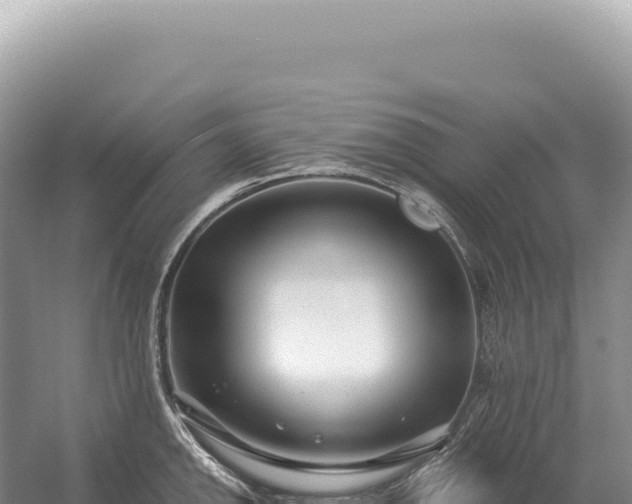 X0000054421142200508051759