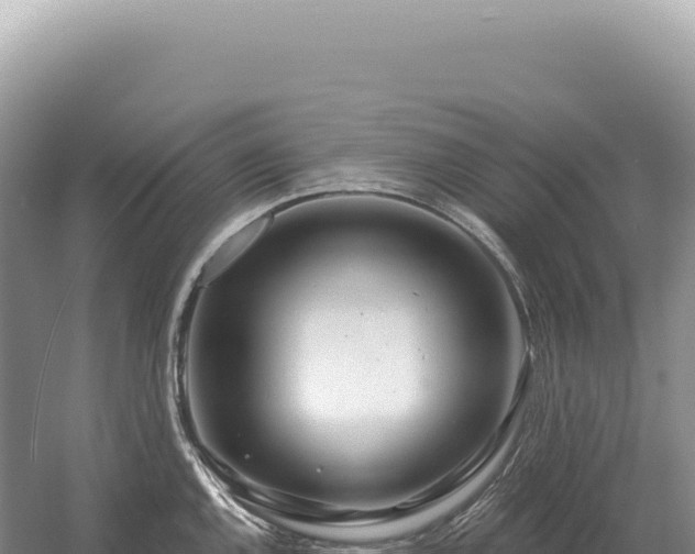 X0000054421144200508051759