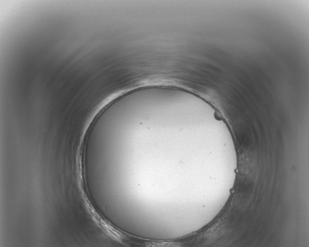 X0000054421150200508051759