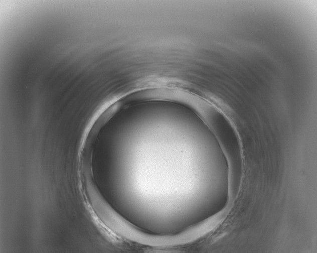 X0000054421152200508051759