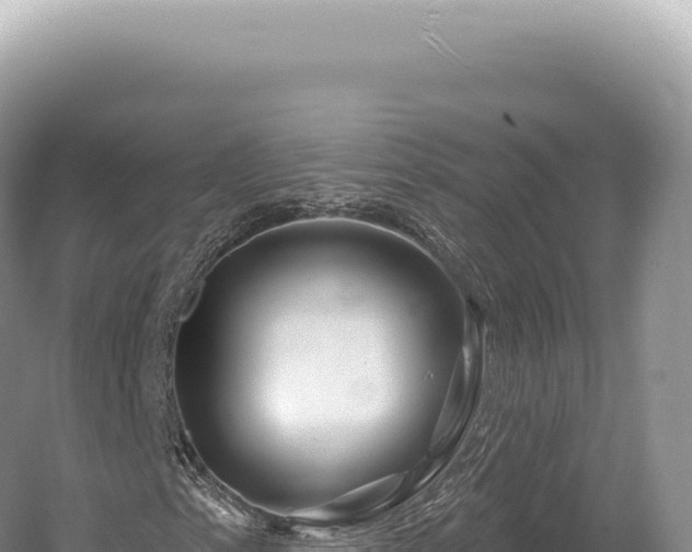 X0000054421153200508051758