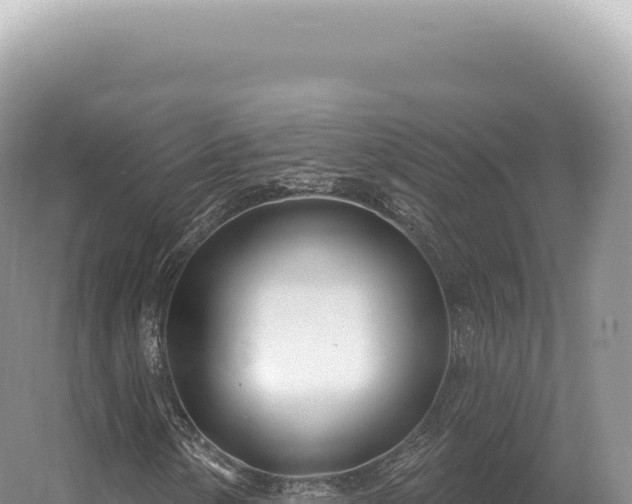 X0000054421154200508051758