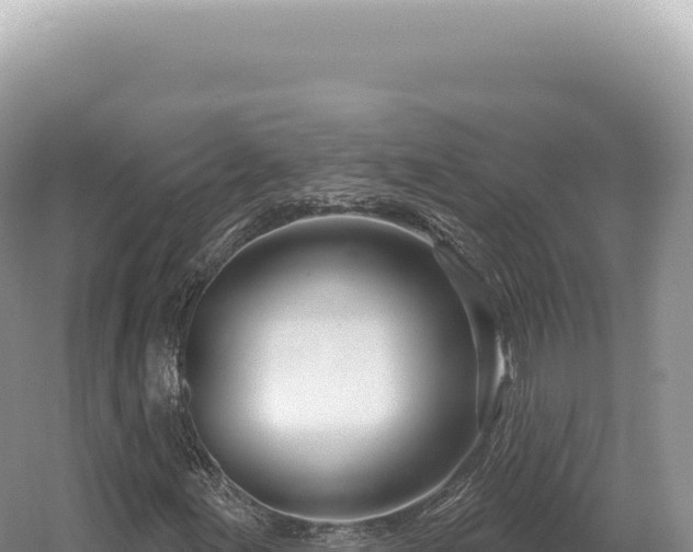 X0000054421155200508051758