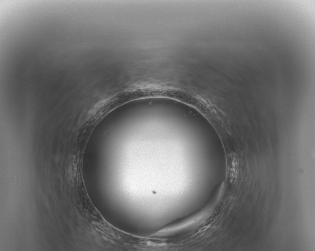 X0000054421157200508051758