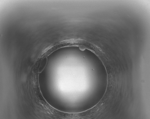 X0000054421158200508051758