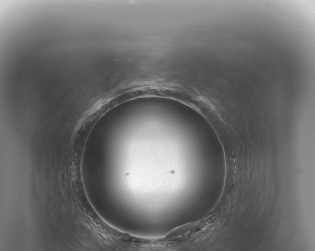 X0000054421159200508051758