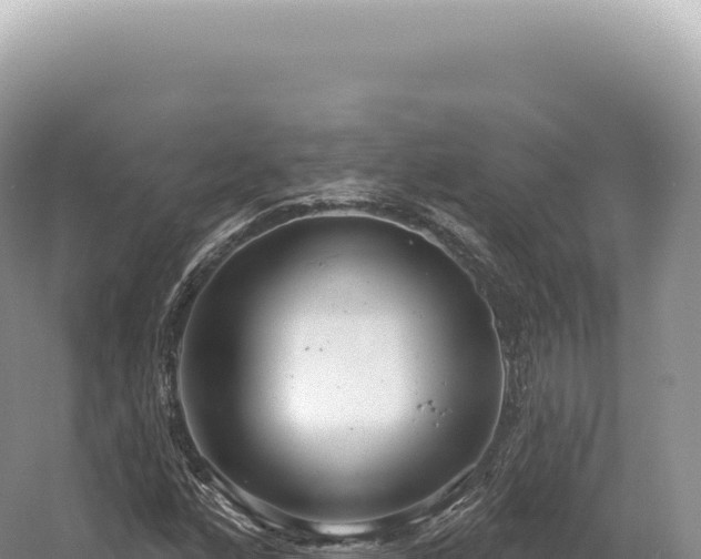 X0000054421160200508051758