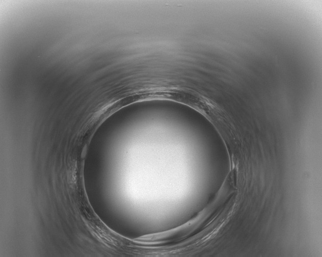 X0000054421161200508051758