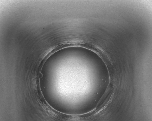 X0000054421162200508051758