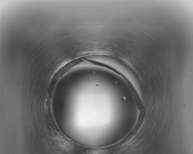 X0000054421163200508051758