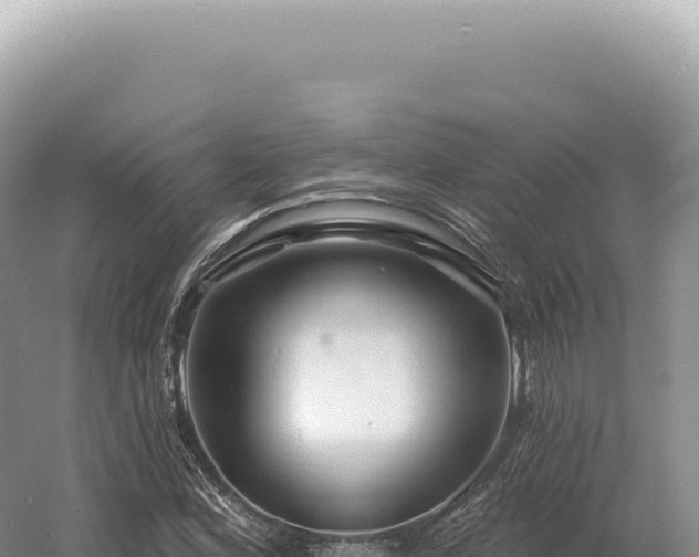 X0000054421164200508051758