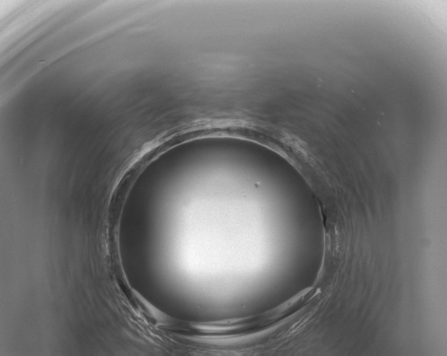 X0000054421165200508051758