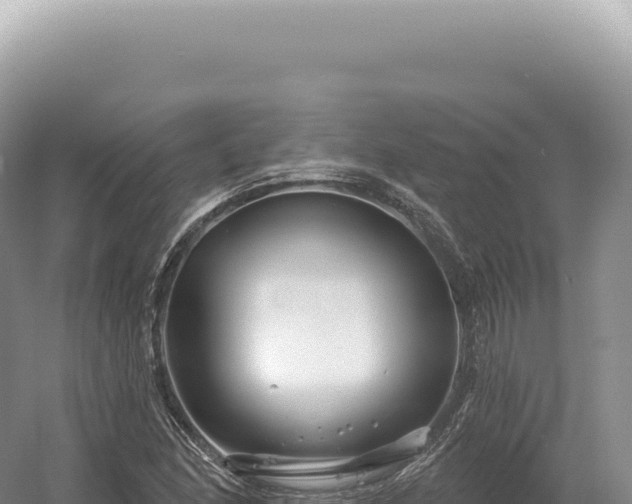 X0000054421166200508051758