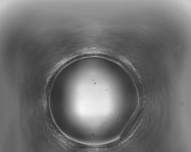 X0000054421167200508051758