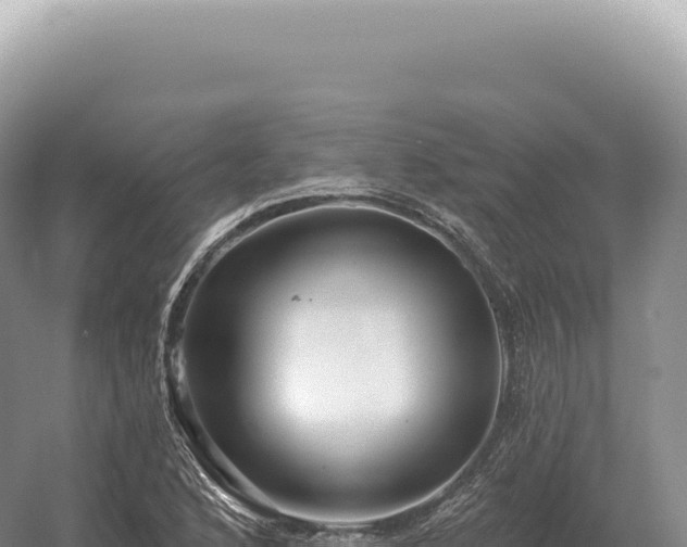 X0000054421168200508051758